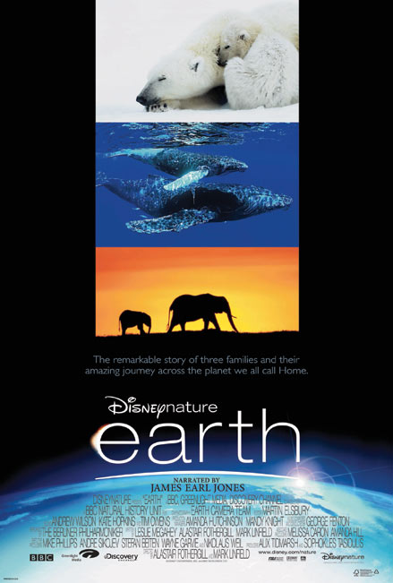 Earth Poster